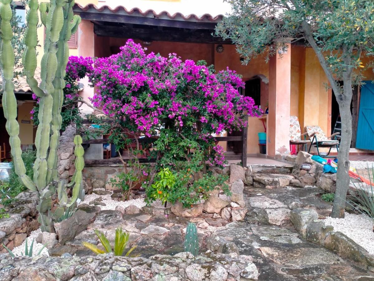 Appartamento Bouganville Splendido